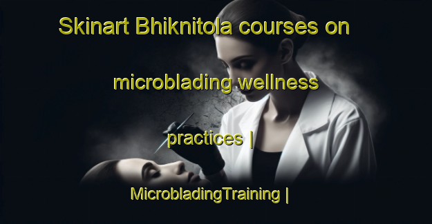 Skinart Bhiknitola courses on microblading wellness practices | MicrobladingTraining | MicrobladingClasses | SkinartTraining-India